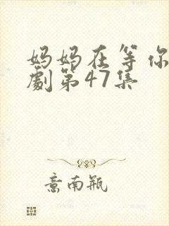 妈妈在等你电视剧第47集