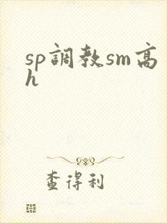 sp调教sm高h