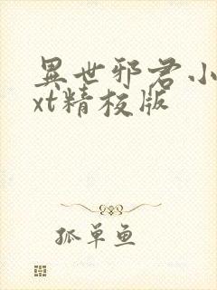 异世邪君小说txt精校版