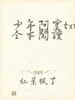 少年阿宾txt全本阅读