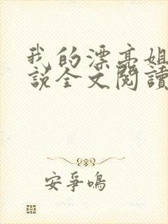 我的漂亮姐姐小说全文阅读