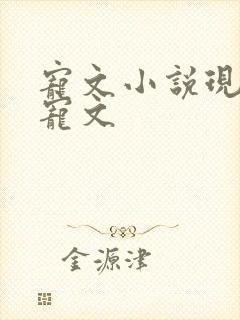 宠文小说现代甜宠文
