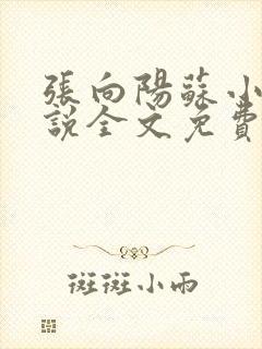 张向阳苏小棠小说全文免费阅读笔趣
