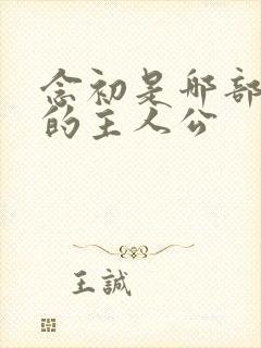 念初是哪部小说的主人公