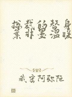 总裁的替身前妻叶非墨温暖在出租车章节