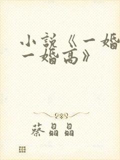 小说《一婚还比一婚高》