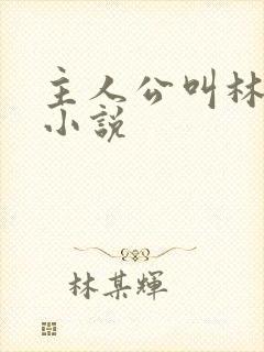 主人公叫林峰的小说