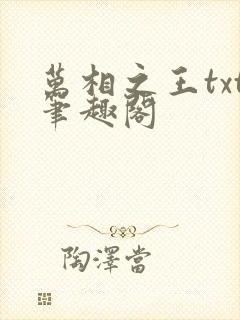 万相之王txt笔趣阁