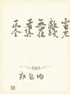 正者无敌电视剧全集在线免费观看