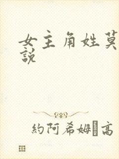 女主角姓莫的小说