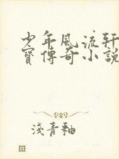 少年风流轩辕大宝传奇小说封面