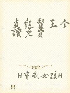贞观贤王全文阅读免费封面