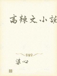 高辣文小说h文