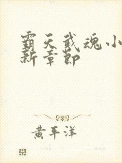 霸天武魂小说最新章节封面