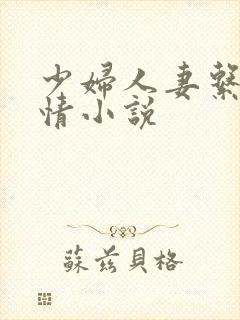 少妇人妻系列激情小说