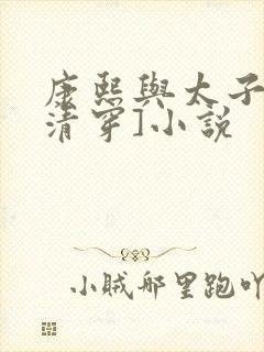 康熙与太子妃[清穿]小说