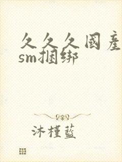 久久久国产调教sm捆绑