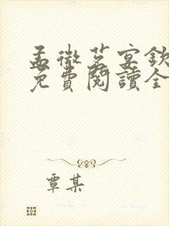 孟微茗宴钦小说免费阅读全文封面