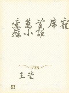 亿万首席宠妻成瘾小说封面