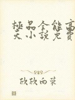 极品全能高手夏天小说免费阅读