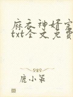 麻衣神婿完整版txt全文免费下载