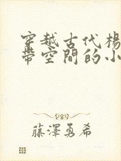 穿越古代杨小晚带空间的小说