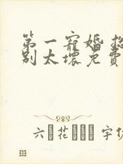 第一宠婚 总裁别太坏免费阅读