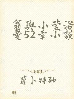 翁与小莹浴室欢爱52章小说封面