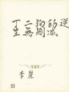 丁二狗的逆袭人生无删减封面