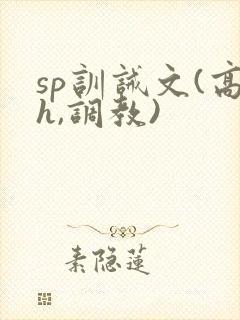 sp训诫文(高h,调教)