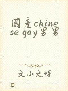 国产chinese gay男男