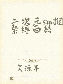 二次元sm捆绑紧缚白丝