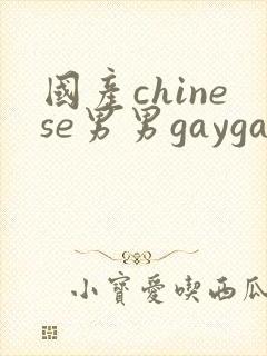 国产chinese男男gaygay无套网站