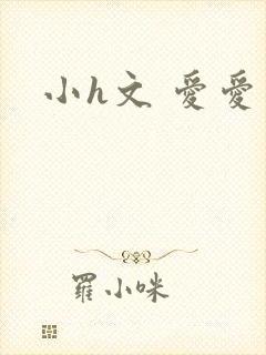 小h文 爱爱