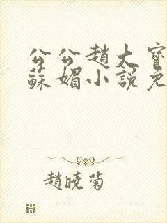公公赵大宝儿媳苏媚小说免费阅读