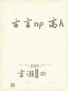 古言np 高h
