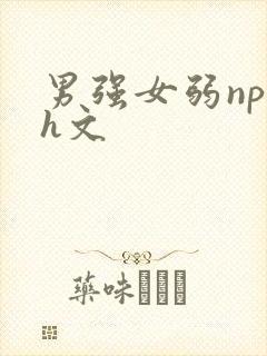男强女弱np高h文