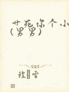 艹死你个小骚货(男男)