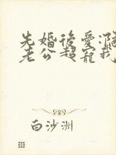 先婚后爱:隐婚老公超宠我