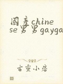 国产chinese男男gaygay网站