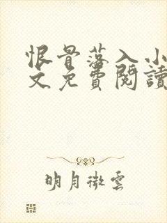 恨骨落入小说全文免费阅读封面