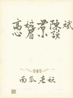 高婉君陈斌和赵心眉小说