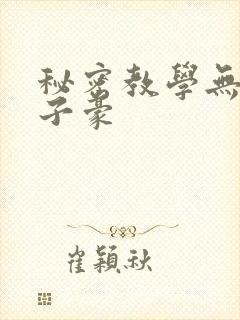 秘密教学无删减子豪封面