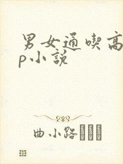 男女通吃高hnp小说