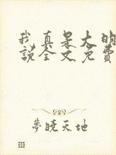 我真是大明星小说全文免费阅读