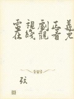 电视剧正义无敌在线观看免费全集高清