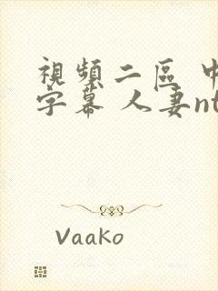 视频二区 中文字幕 人妻ntr