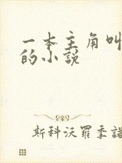一本主角叫林凡的小说
