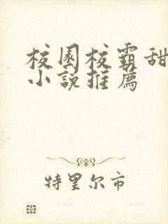 校园校霸甜宠文小说推荐