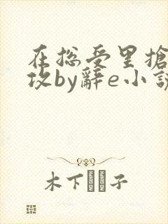 在总受里抢主角攻by辞e小说封面